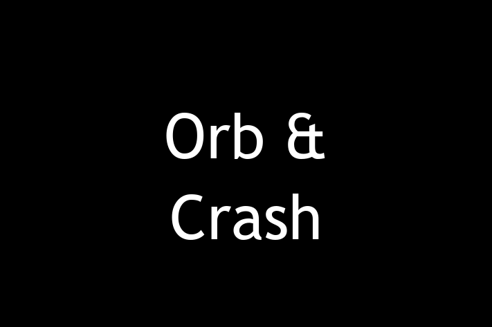 Software Services Company Orb  Crash