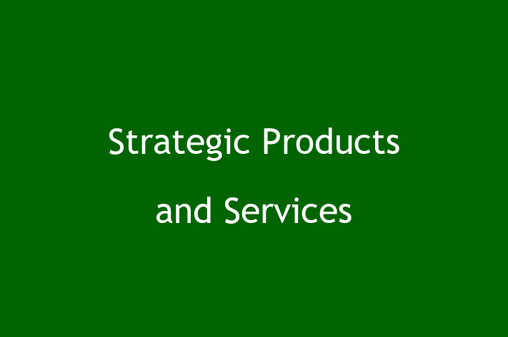 Software Firm Strategic Products and Services