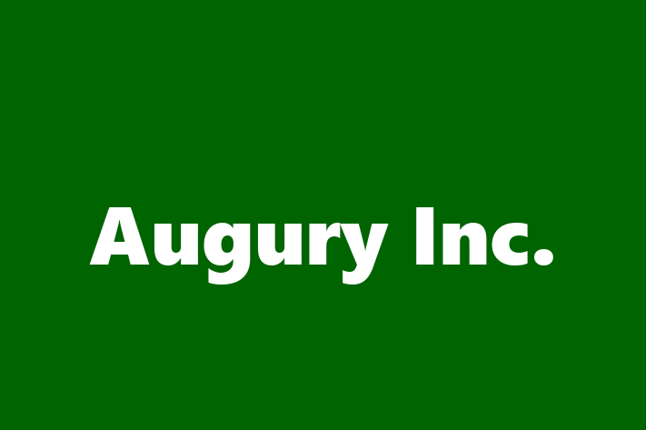 IT Company Augury Inc.