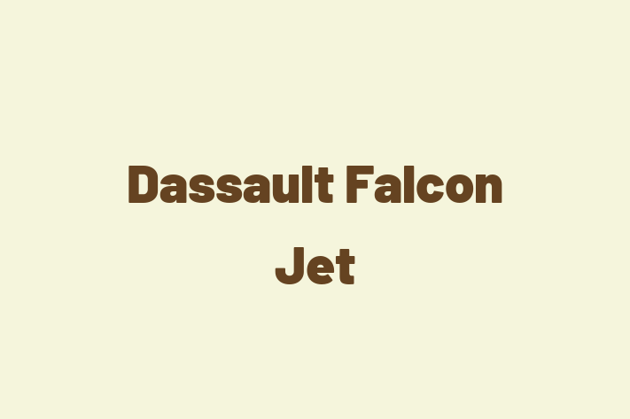 Talent Management Dassault Falcon Jet