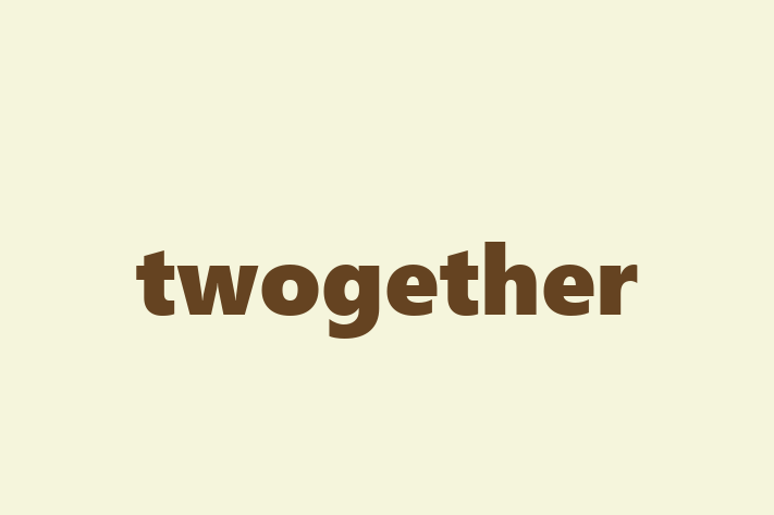 Software Firm twogether