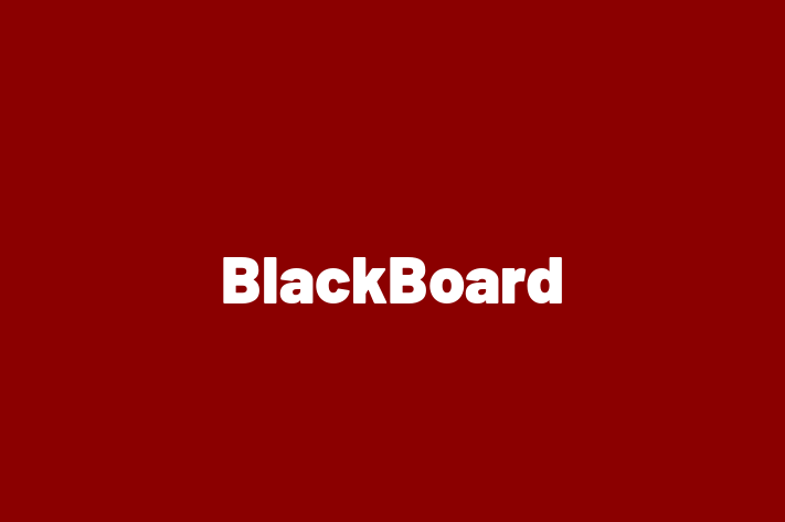 Application Development Company BlackBoard