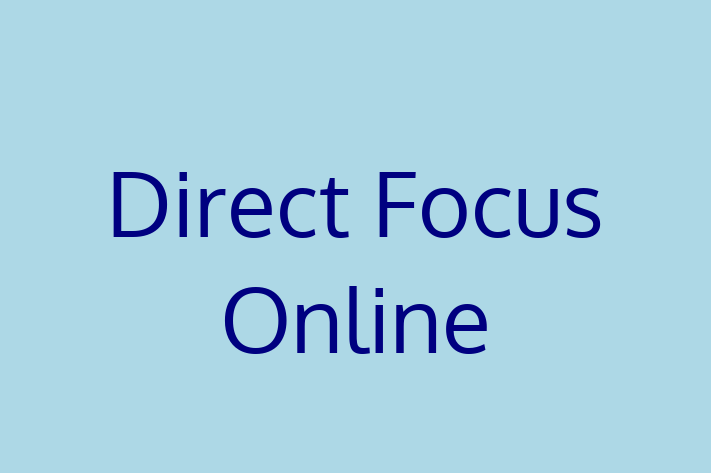 Software Engineering Company Direct Focus Online