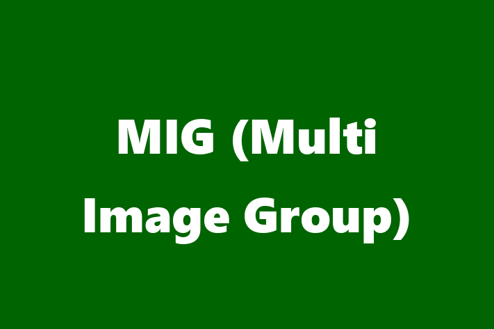 Software Solutions Provider MIG Multi Image Group