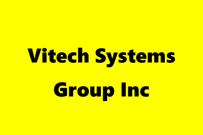 IT Company Vitech Systems Group Inc