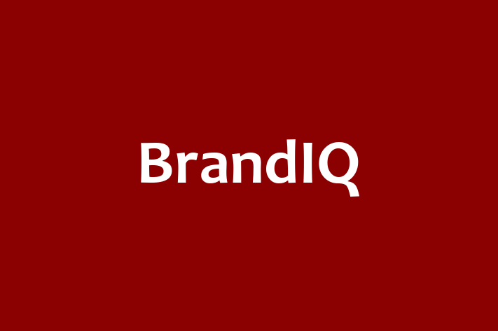 Technology Company BrandIQ