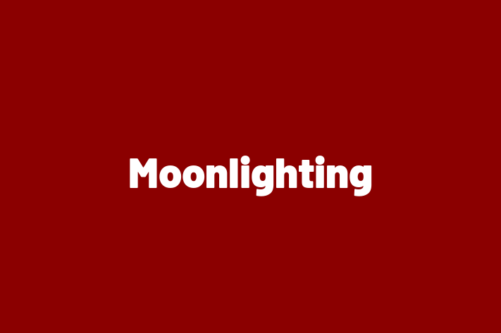 Technology Solutions Firm Moonlighting