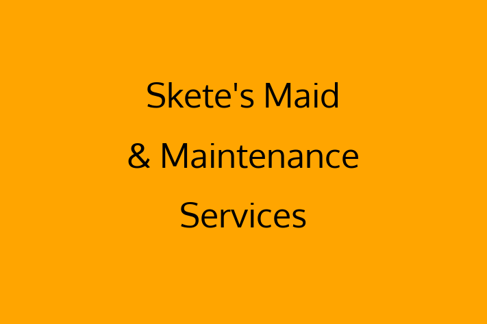 Domestic Cleaning Sketes Maid Maintenance Services