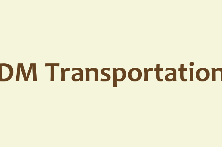 Technology Solutions Firm DM Transportation