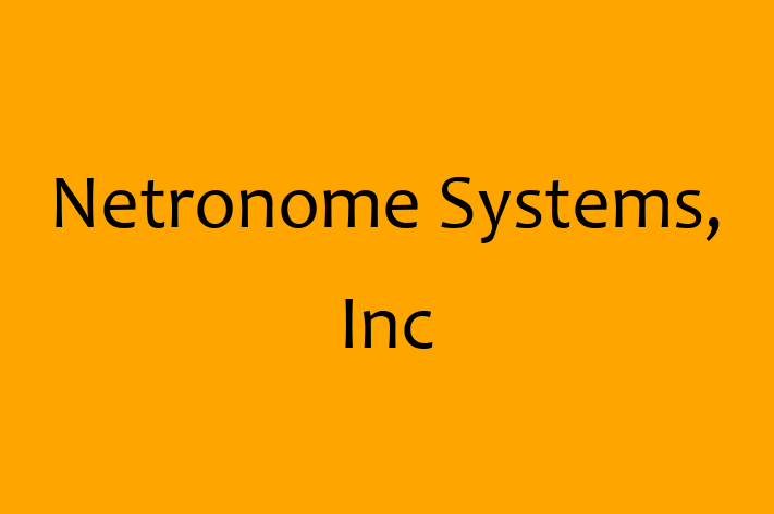 Tech Firm Netronome Systems Inc