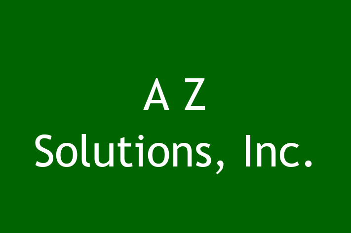 Digital Solutions Provider A Z Solutions Inc.