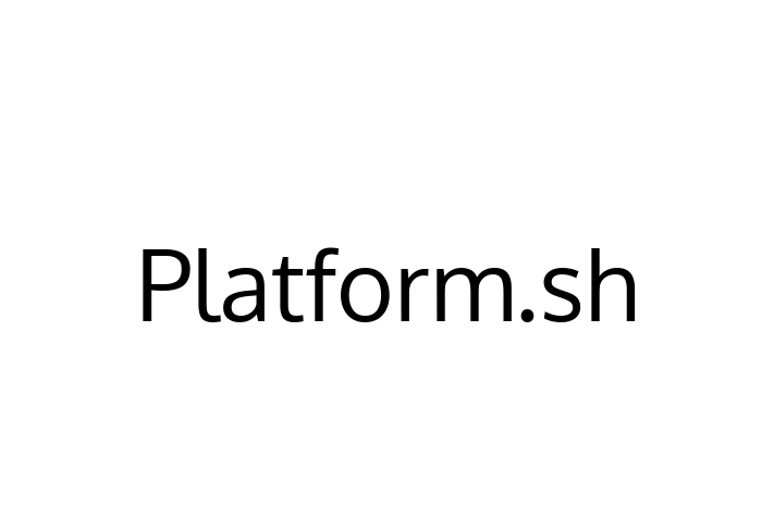 IT Company Platform.sh