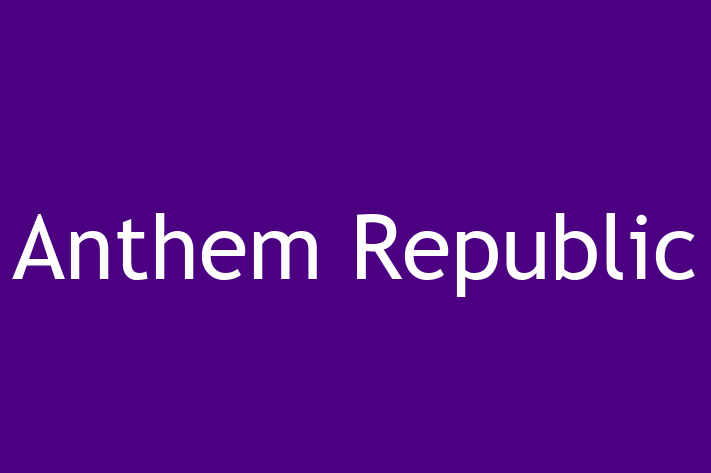 Software Development Firm Anthem Republic