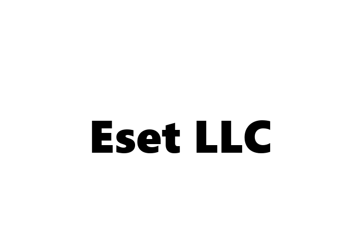 Digital Solutions Provider Eset LLC