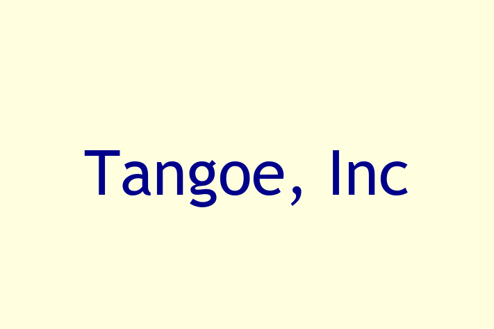 Software Solutions Provider Tangoe Inc