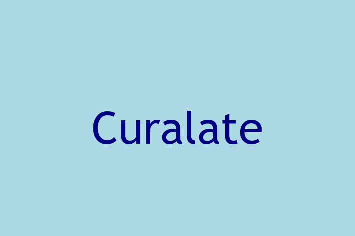 Software Development Company Curalate