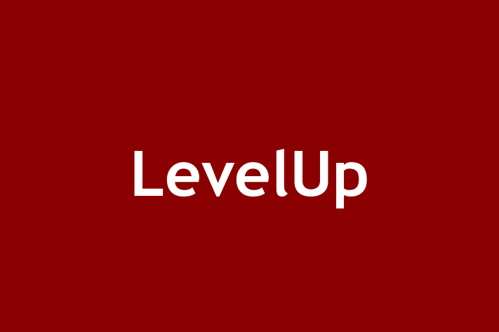 Technology Company LevelUp