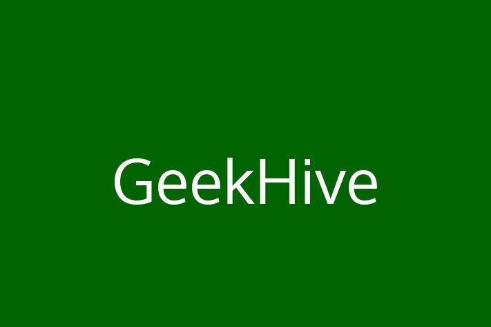 Technology Company GeekHive