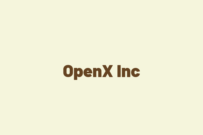 Software Development Firm OpenX Inc