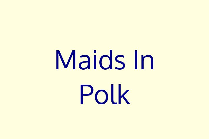 Maid Service Maids In Polk