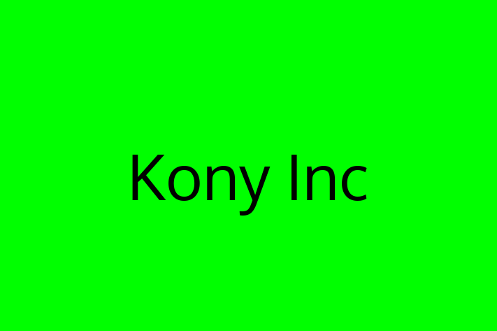 Tech Solutions Company Kony Inc