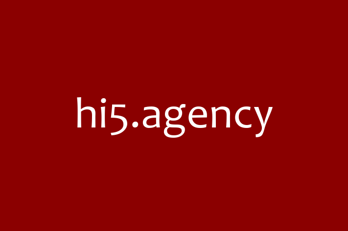 Application Development Company hi5.agency