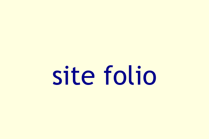 Software Engineering Company site folio