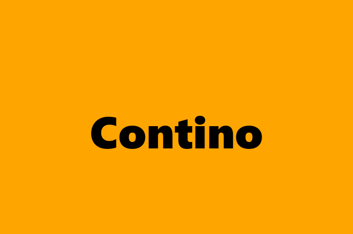 Software Development Company Contino