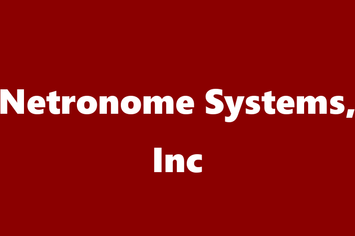 Software Consultancy Netronome Systems Inc