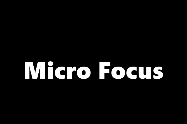 Software Firm Micro Focus