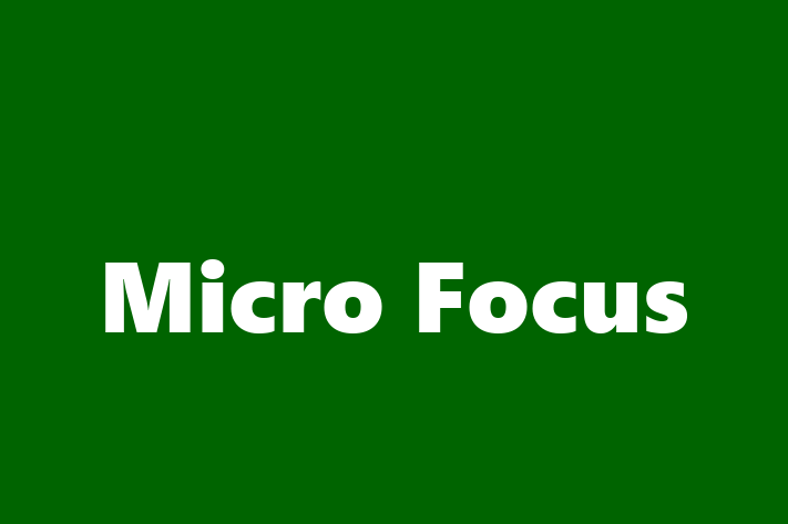 Software Services Company Micro Focus