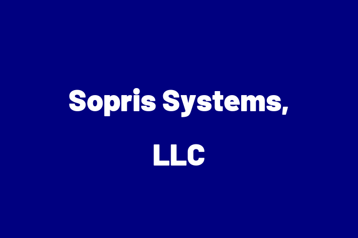 Software Solutions Provider Sopris Systems LLC