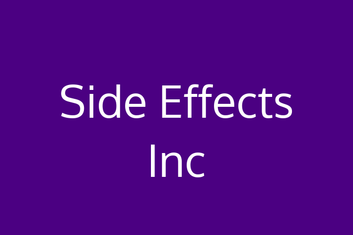 Software Firm Side Effects Inc