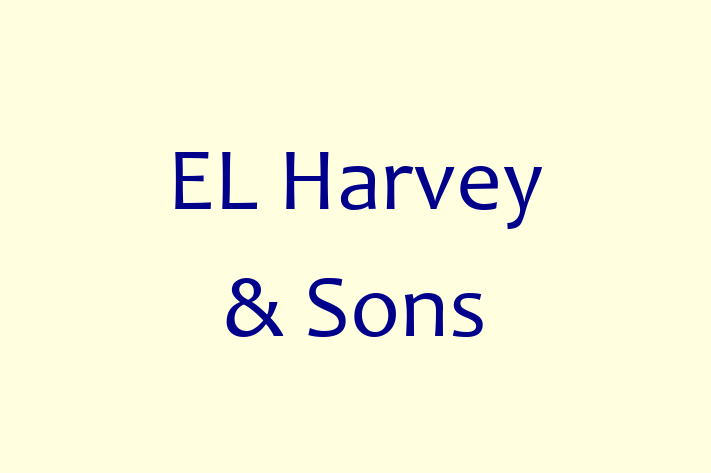 Technology Solutions Firm EL Harvey  Sons