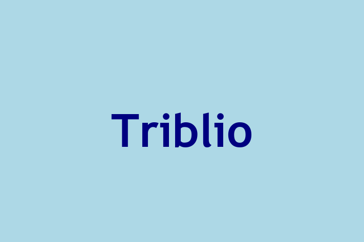 Software Services Company Triblio