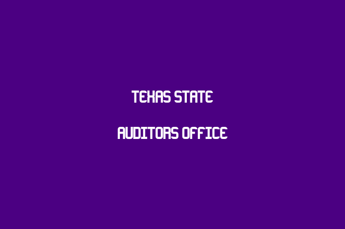 Labor Relations Texas State Auditors Office