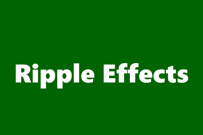 Digital Solutions Provider Ripple Effects