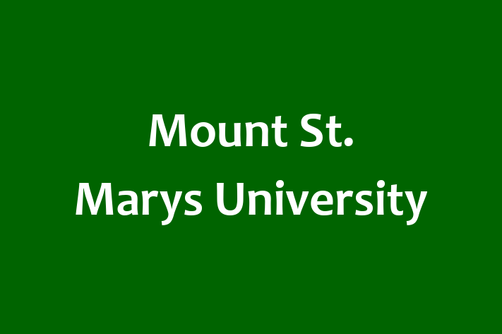 Human Capital Management Mount St. Marys University