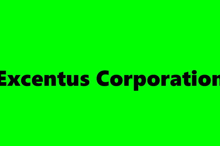 Software Solutions Provider Excentus Corporation