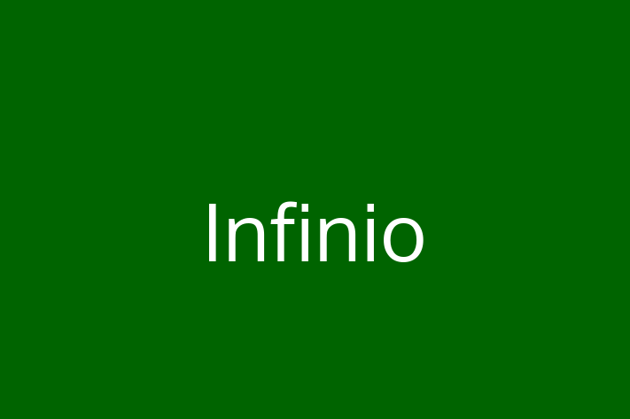 Application Development Company Infinio