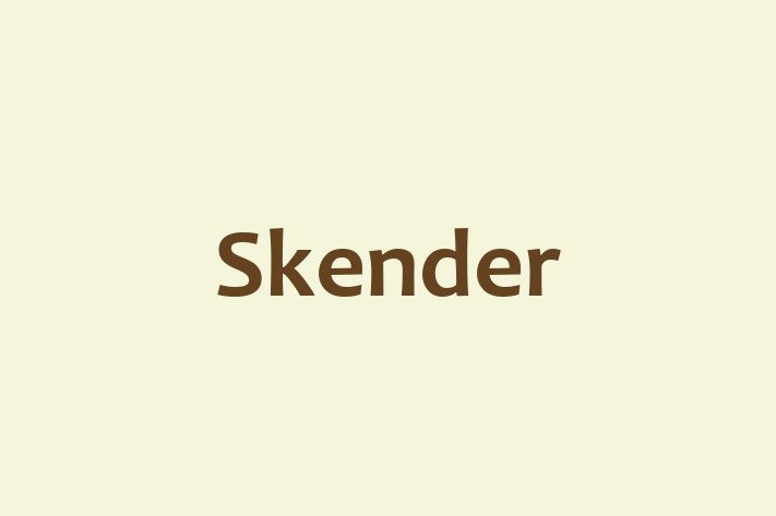 HR Administration Skender