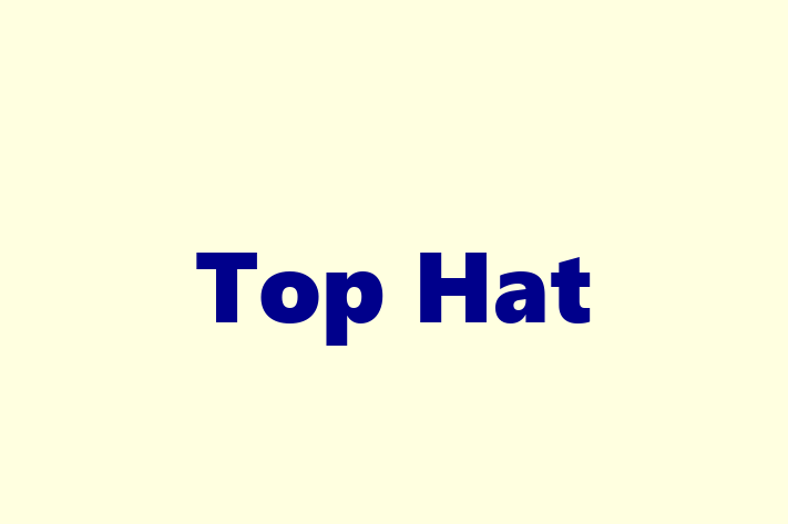 Technology Solutions Firm Top Hat