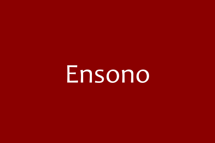 Technology Company Ensono