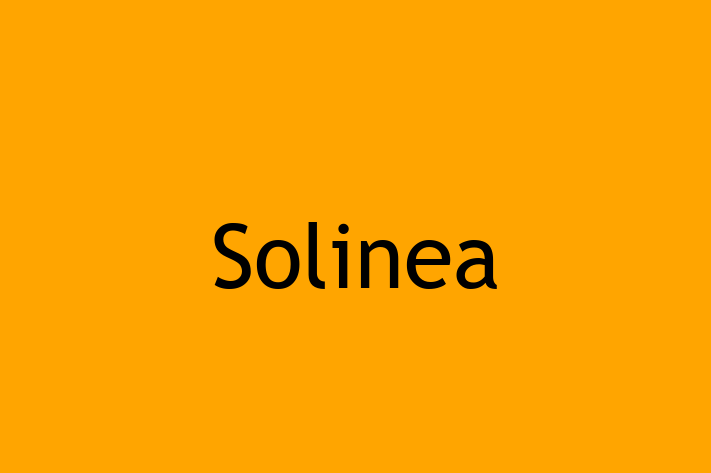 Software Development Firm Solinea