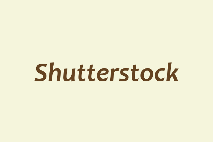 IT Company Shutterstock