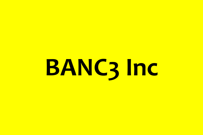 Application Development Company BANC3 Inc