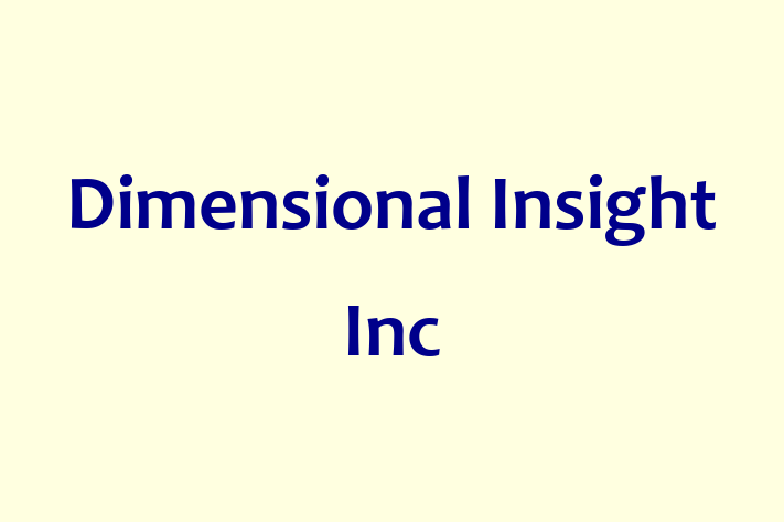 Digital Solutions Provider Dimensional Insight Inc