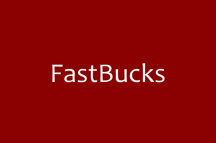 Software Services Company FastBucks