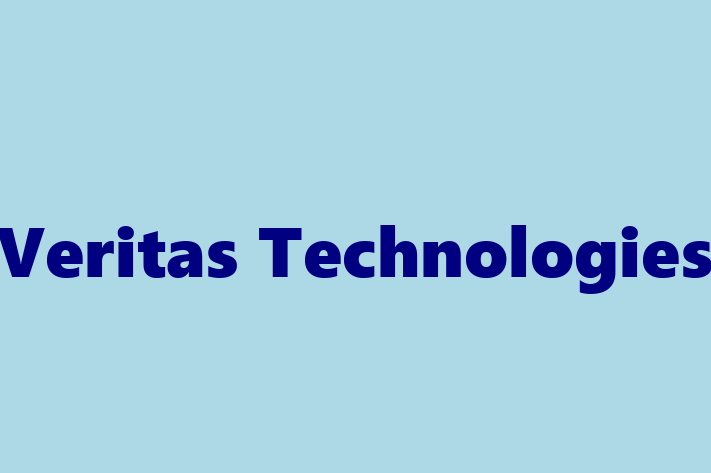 Technology Solutions Firm Veritas Technologies