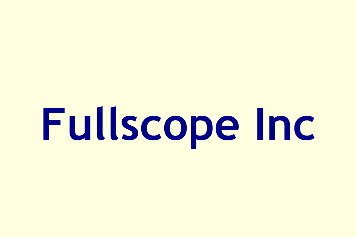 Digital Solutions Provider Fullscope Inc